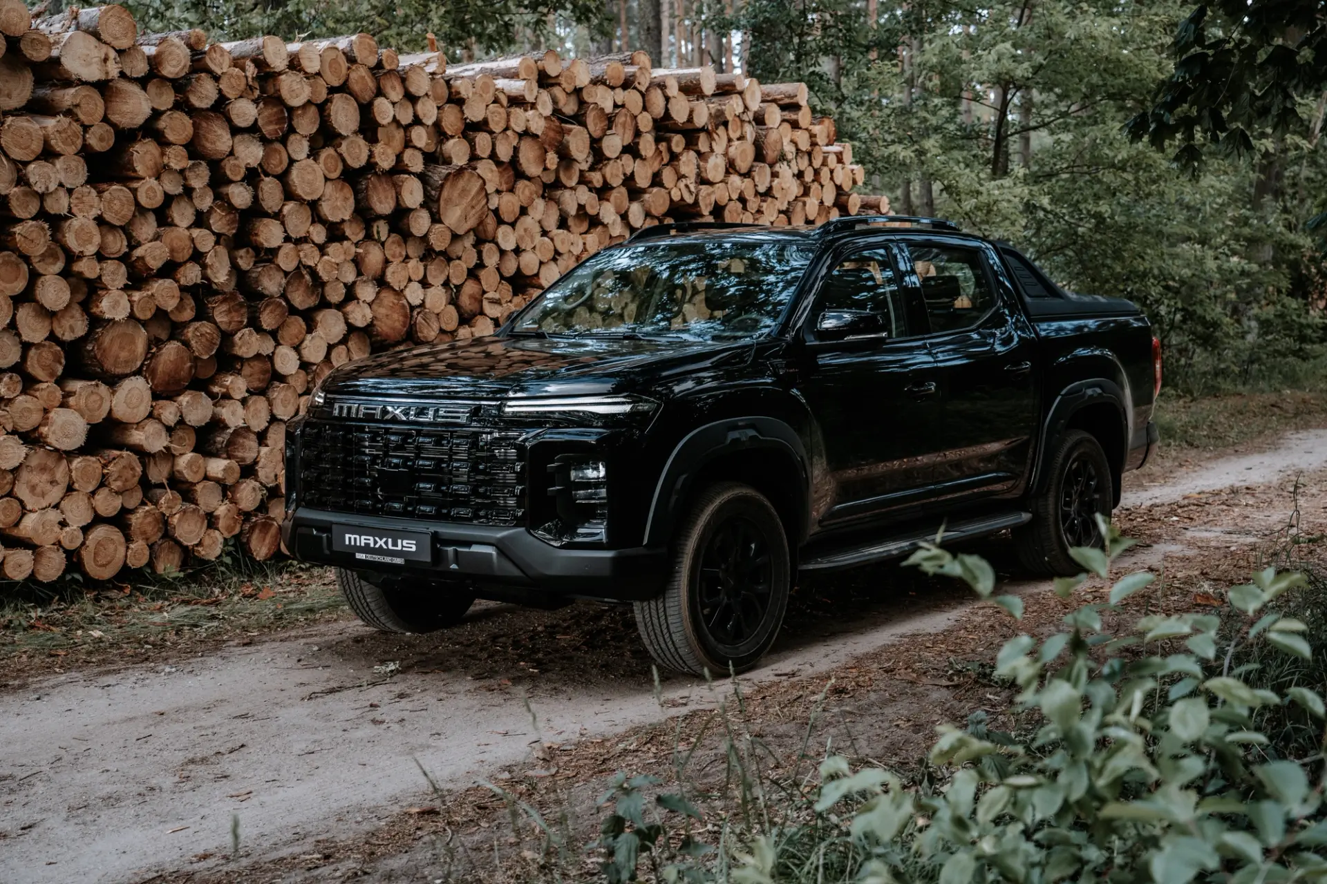 Maxus T60 Max framför en vedtrave